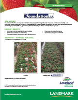 02-17 Foundation Strawberries v4.png