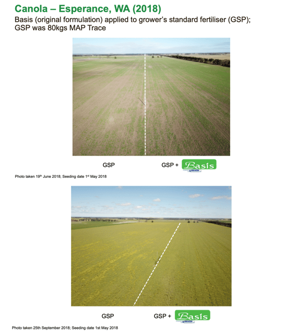 Basis Esperance Canola side by side 2018