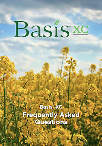 Basis XC FAQ Booklet Landing Page Image.png