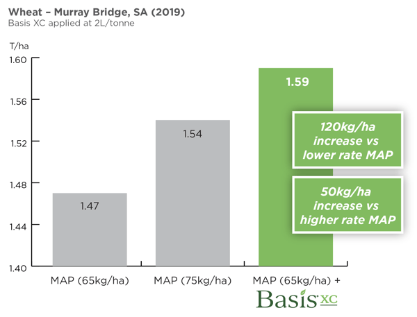 BasisXC Wheat Murray Bridge Wheat Yield Improvement