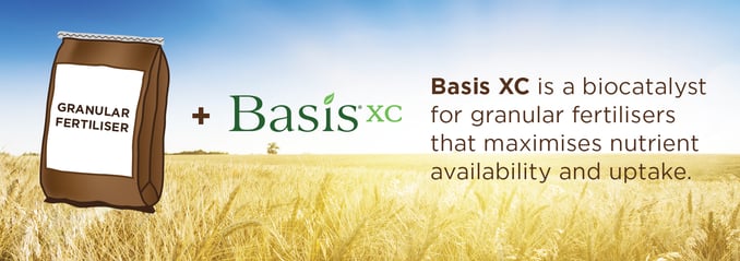 BasisXC biocatalyst