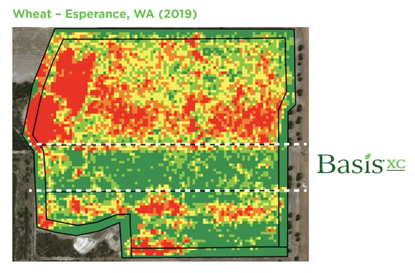 Wheat Growth with Basis XC