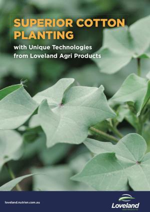 Cotton Planting Guide Image