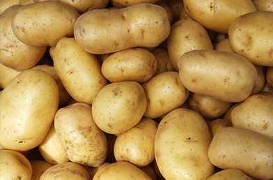 Featured_Studies_Potatoes.png