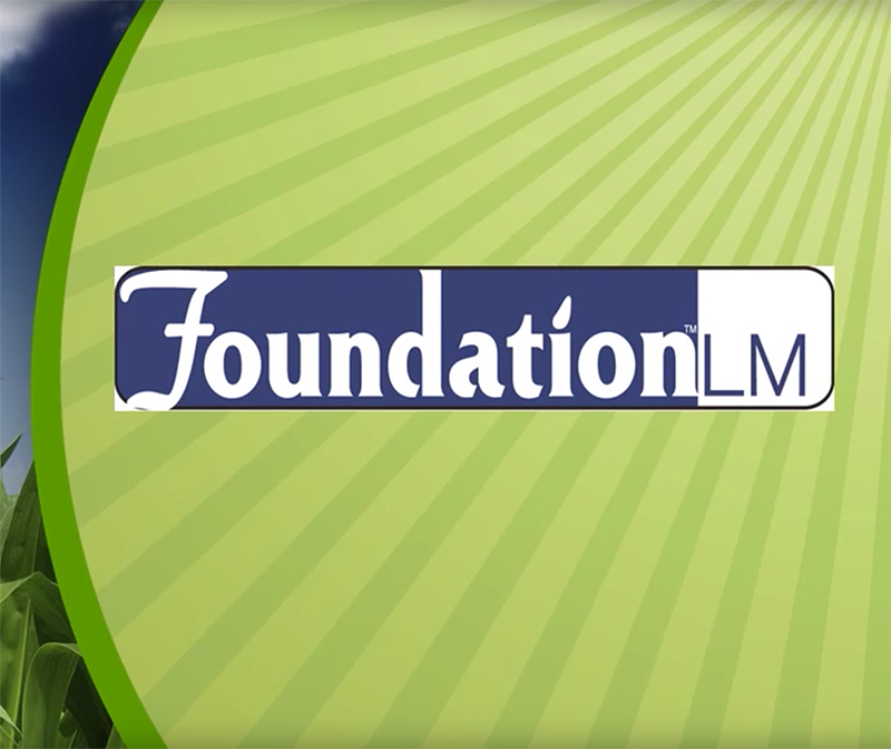 Foundation_Videos.png