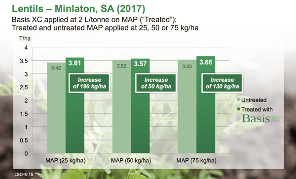 Lentils - SA - Basis XC