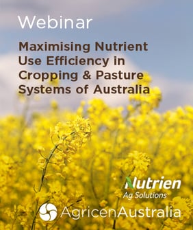 Maximising Nutrient Use Efficiency Image