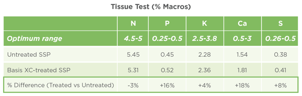 Tissue Test-1