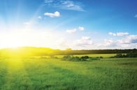 Terramar Featured Studies