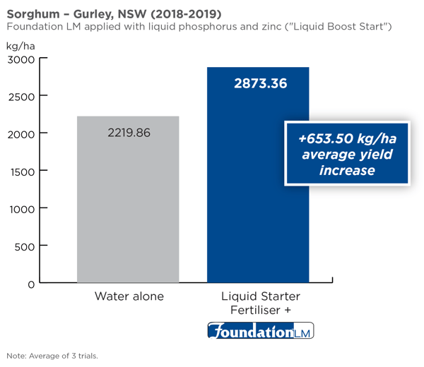 sorghum bar graph