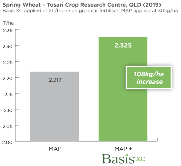 spring wheat Basis