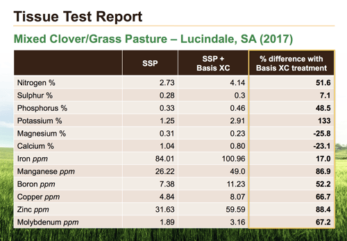 tissue test report basis xc.png